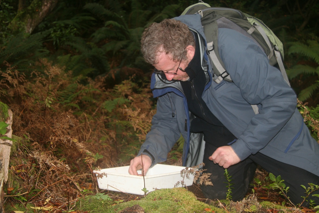 University of Arkansas, Mycology research NZ Sub Ant 2007