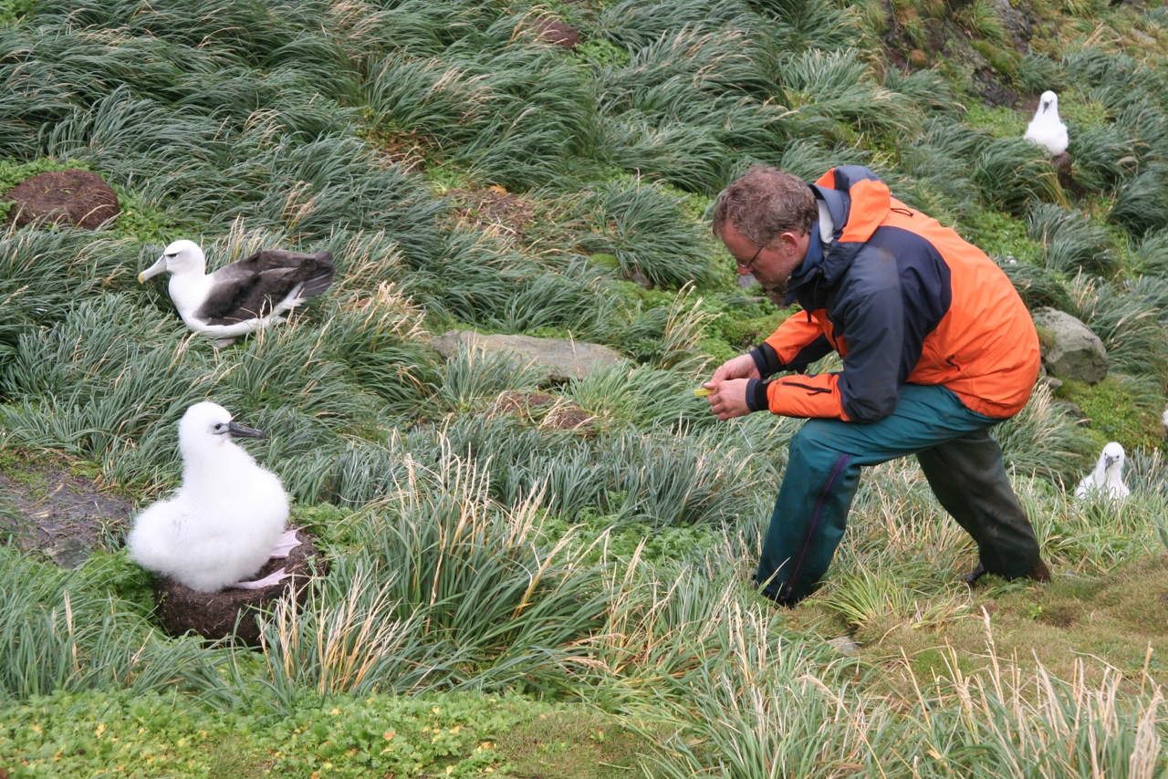 NIWA,  Birds, Whales, Seals and Penguins