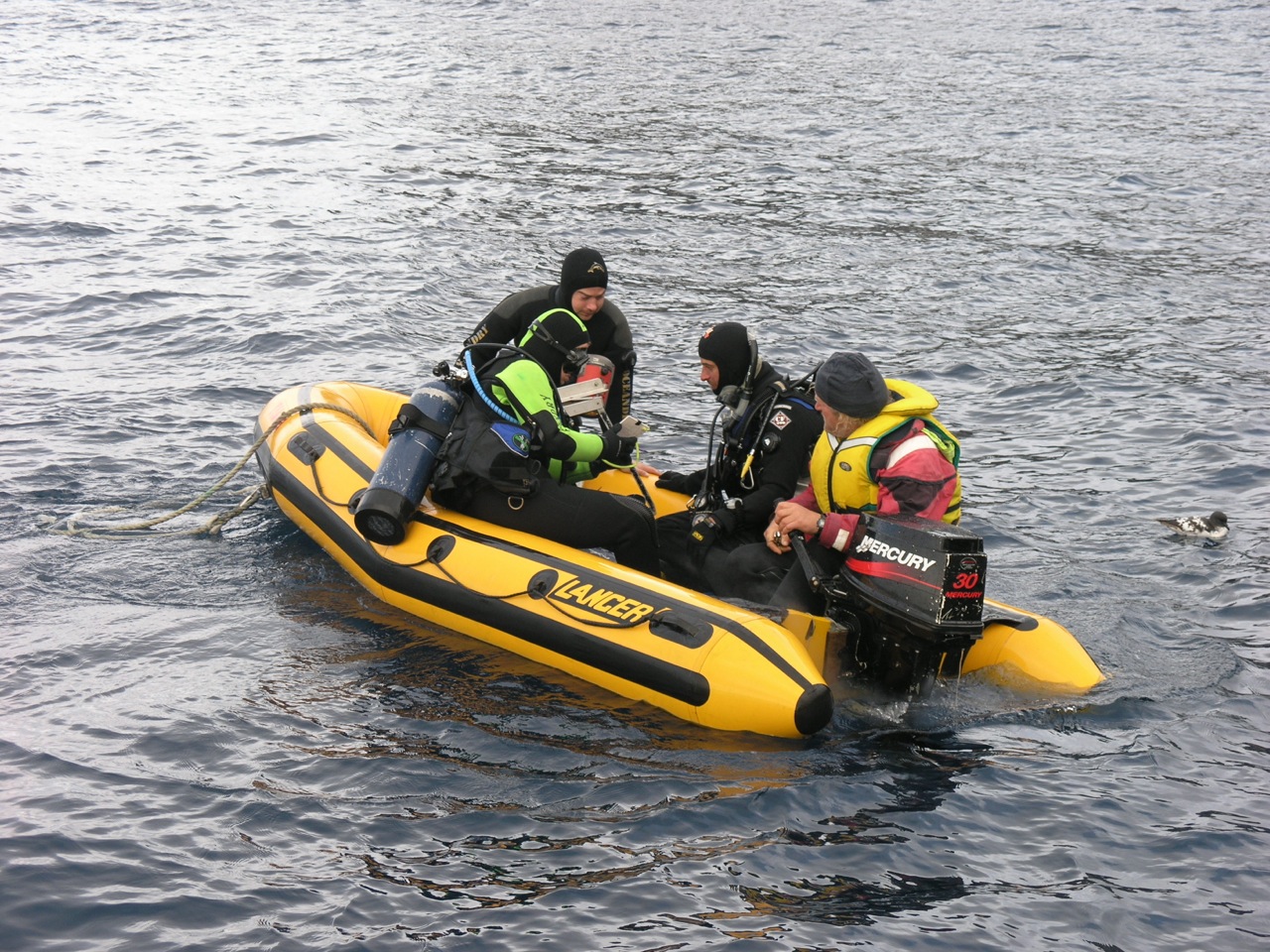 Trade a boat Magazine, Southern Diving at the Bounty islands, by Lindsay Wright